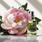 Preview: Peony - Candle Fragrance Oil